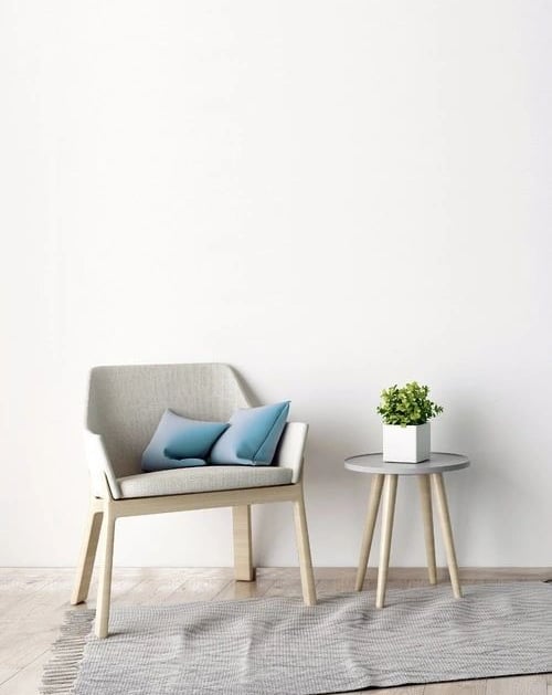 a chair and a table with a plant in a room