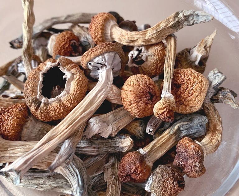 Close-up of dried psilocybin mushrooms with brown caps and stems in a clear glass bowl.