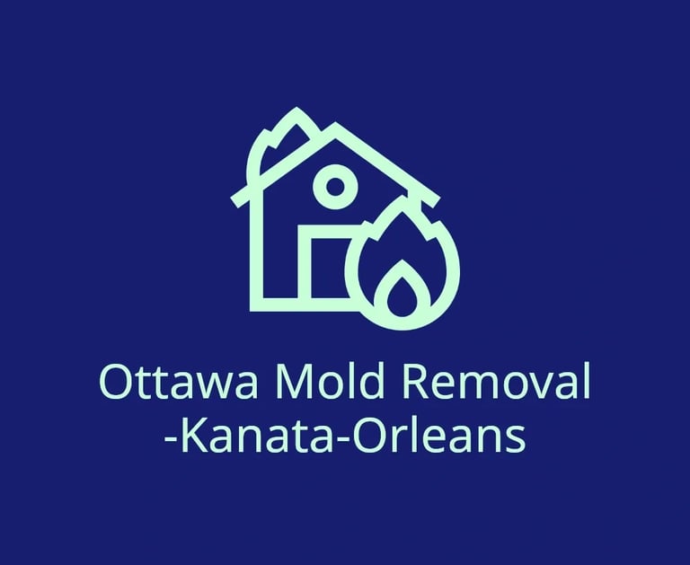 MOULD REMOVAL & REMEDIATION IN OTTAWA