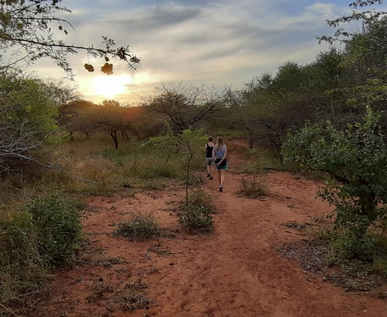 Guided and self guided bush walks at Albizia tented camp in Hluhluwe