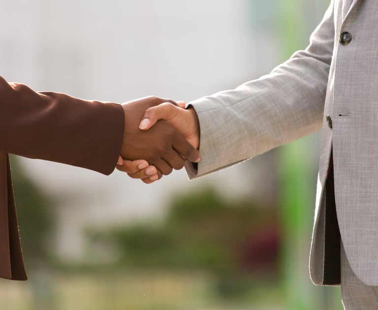 Partners shake hands