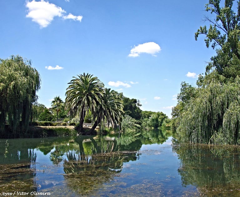 nabao river near Happy homes portugal