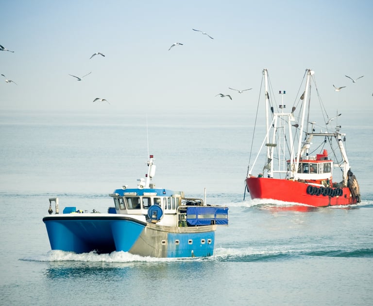 two boats in the water with birds flying around