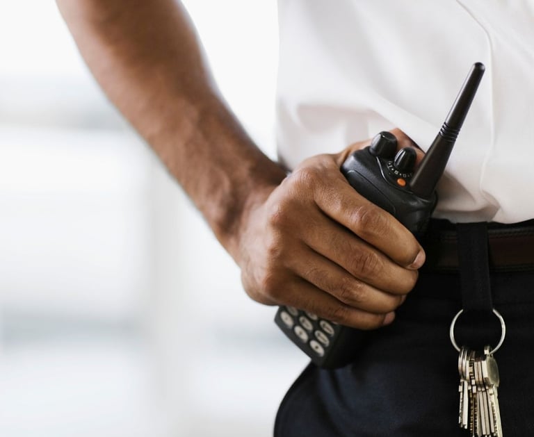 seguridad privada