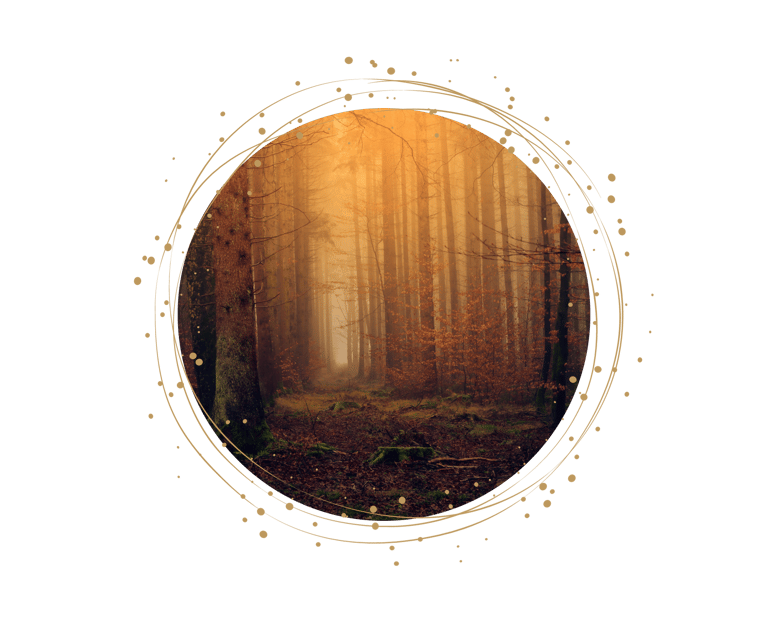 Rauhnaechte-raechern-rituale-duefte-transformation-verbindung-wachstum-kreation