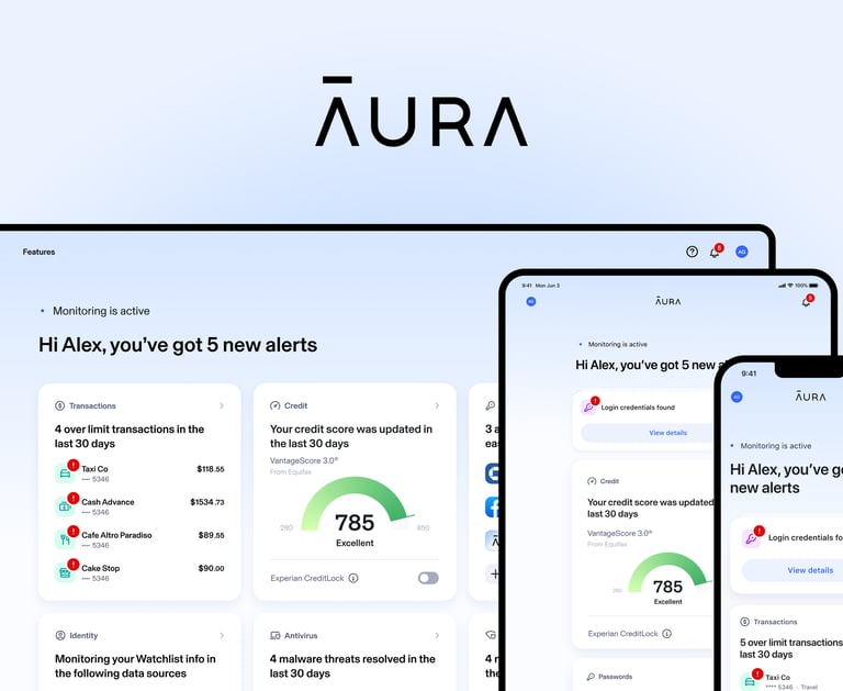Image of the aura software being sold