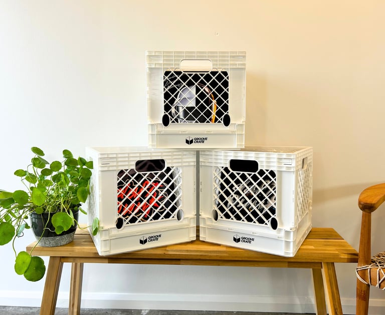 three vinyl record storage crates with a plant in the middle of them