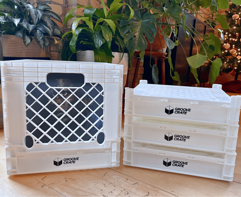 Vinyl Record Storage Crate in white next to plants