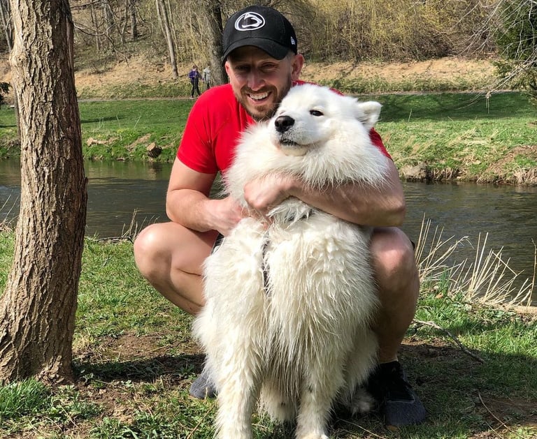 Samoyed puppies for sale in Vermont