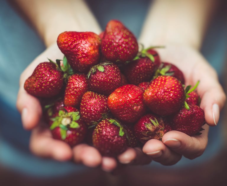 a person's outstretched hands offering a handful of deep red strawberries