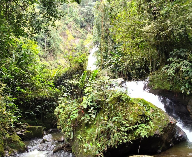 Corriente del río que conduce a la Cascada Alejandra