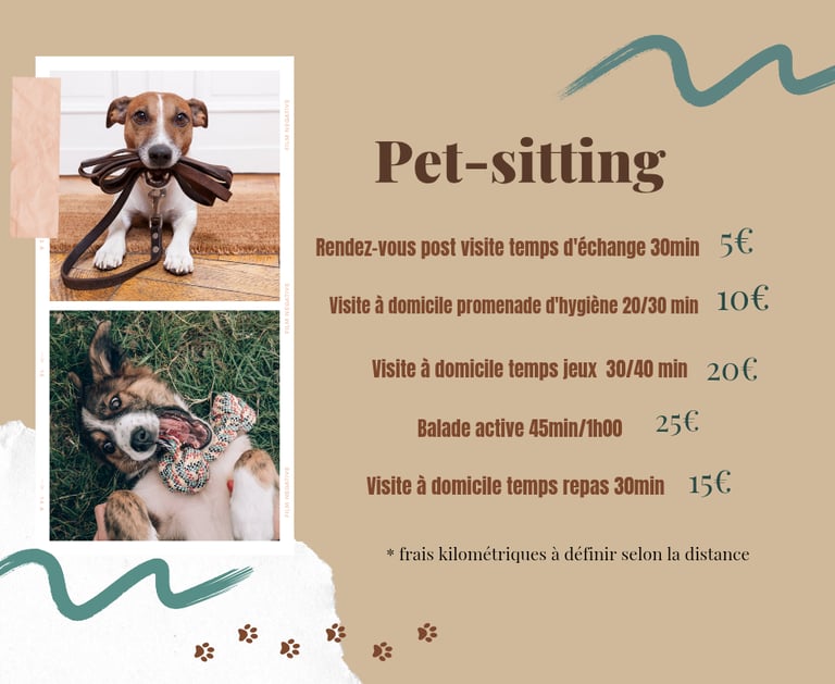 services pet-sitting service pet-sitter et tarifs