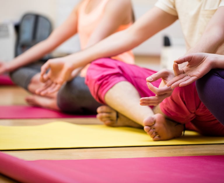 Cours collectifs de Natha Yoga à Epierre, Saint-Rémy de maurienne et Argentine