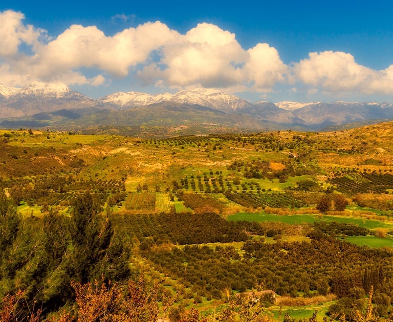 Oliveraies plaine de Messara et montagnes 