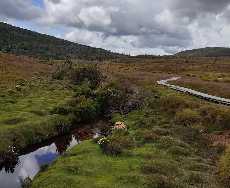 Cradle Mountain hike area landscape of wombats