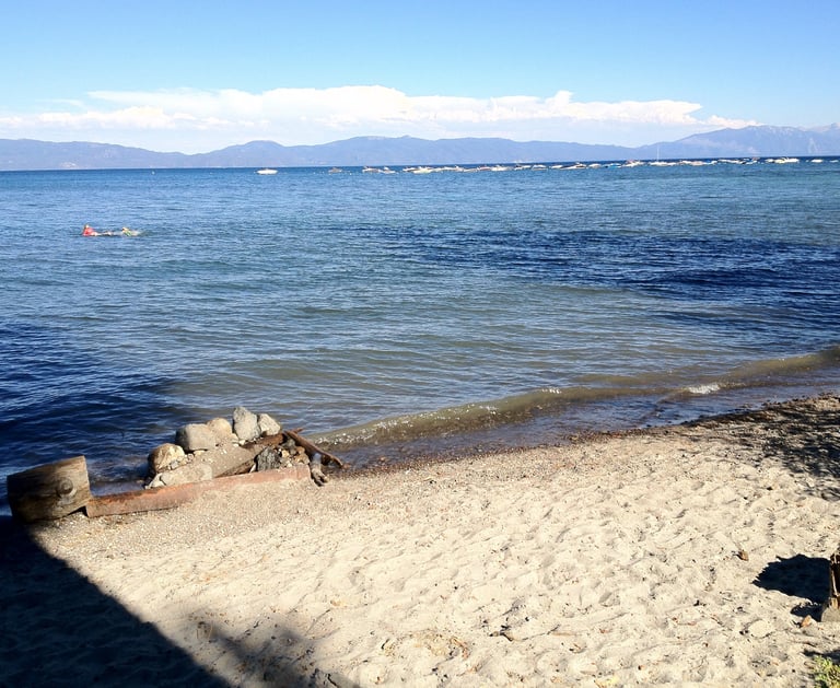 top dog friendly beaches north lake tahoe