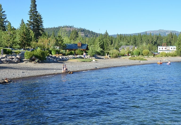 top dog friendly beaches north lake tahoe