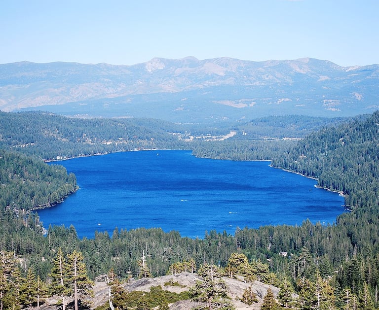 top dog friendly beaches north lake tahoe