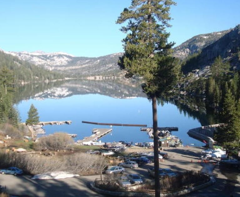 top dog friendly beaches north lake tahoe