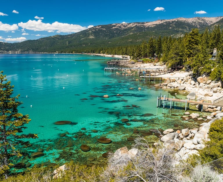 Top dog friendly beaches north lake tahoe