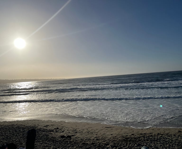 casa munras dog friendly monterey ca