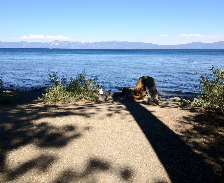 top dog friendly beaches north lake tahoe