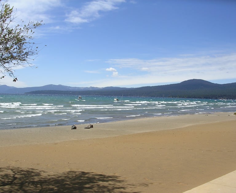 top dog friendly beaches north lake tahoe