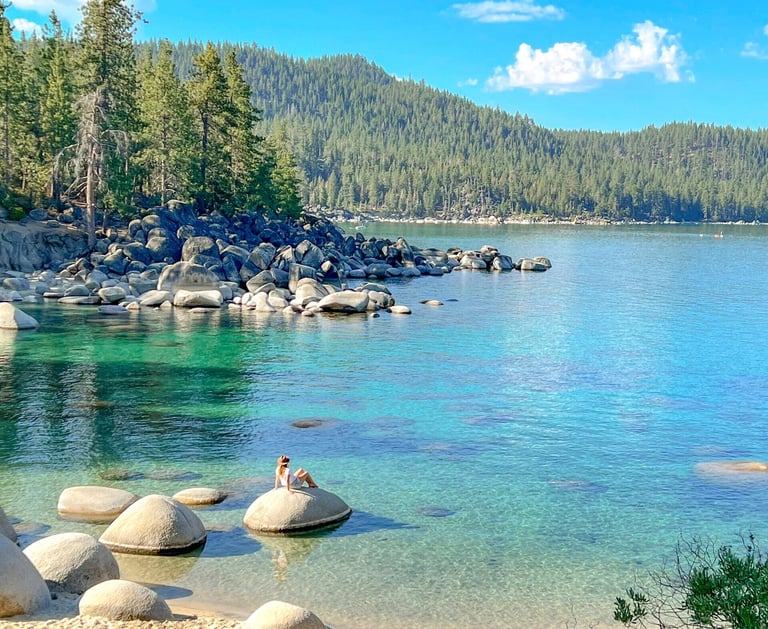 top dog friendly beaches north lake tahoe