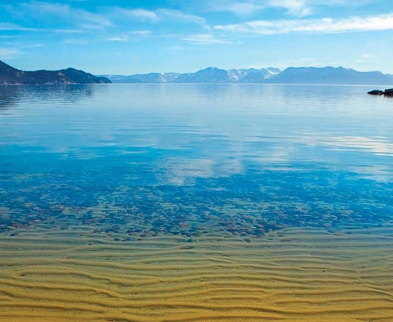 top dog friendly beaches north lake tahoe