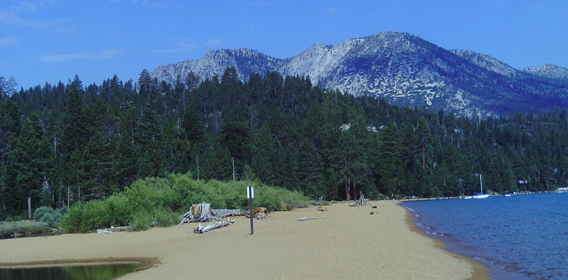 top dog friendly beaches north lake tahoe