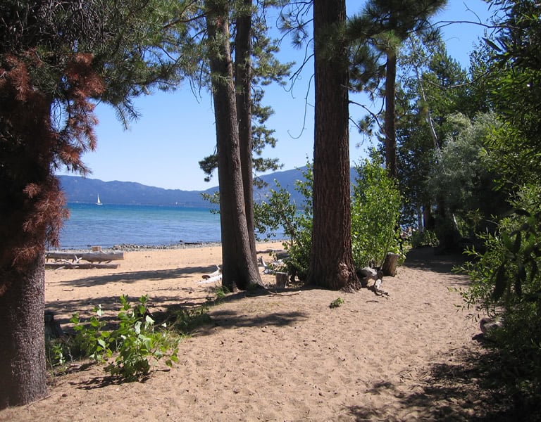 top dog friendly beaches north lake tahoe