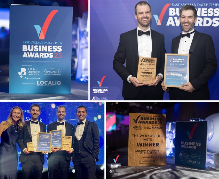 Medium Business of the Year EADT Business Awards The Woodbridge Vets - Reason Marketing Marketing Consultant