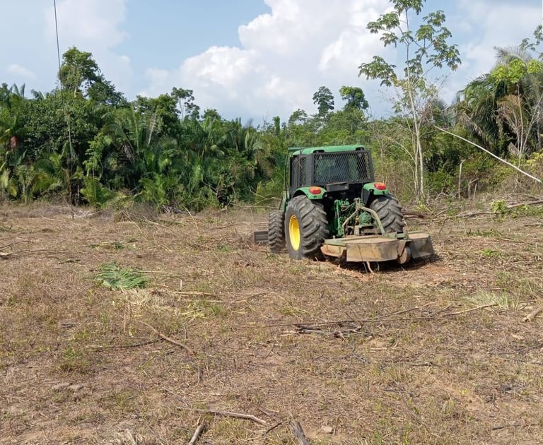 monitoramento de fauna e afugentamento 