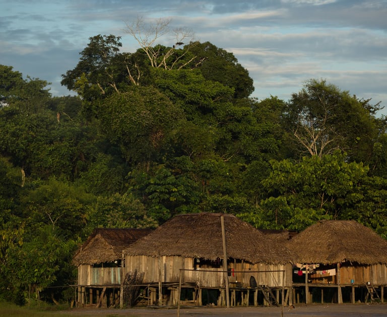 a hut with a thatched roof and a hut with a thatched roof