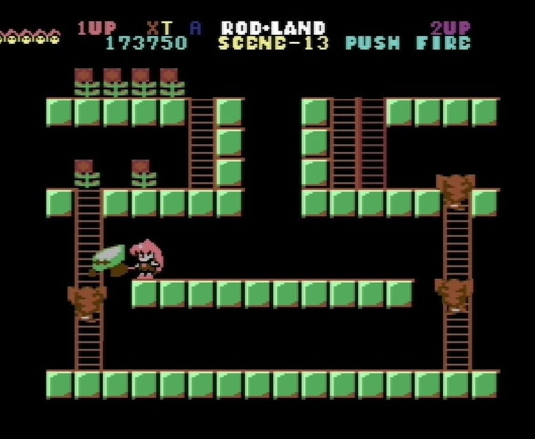 Commodore 64 Rodland Rit Grabs a Cob