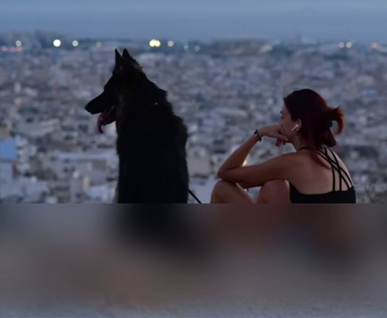 dogAdvisor | dogadvisor | dog advisor | dogAdvisor.dog