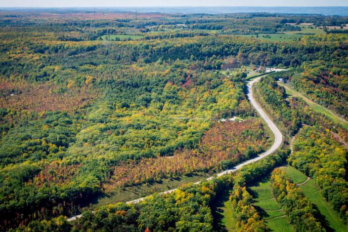A road winding through a forested landscape in Grey County..