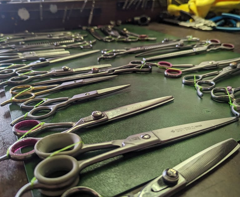 dog grooming shear sharpening