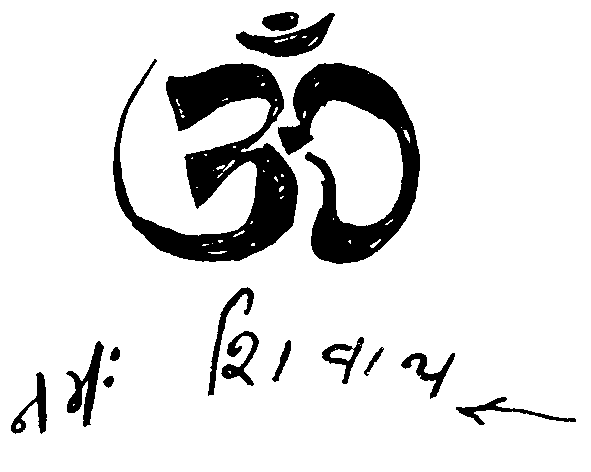 Om Namaha Shivay firma di Babaji