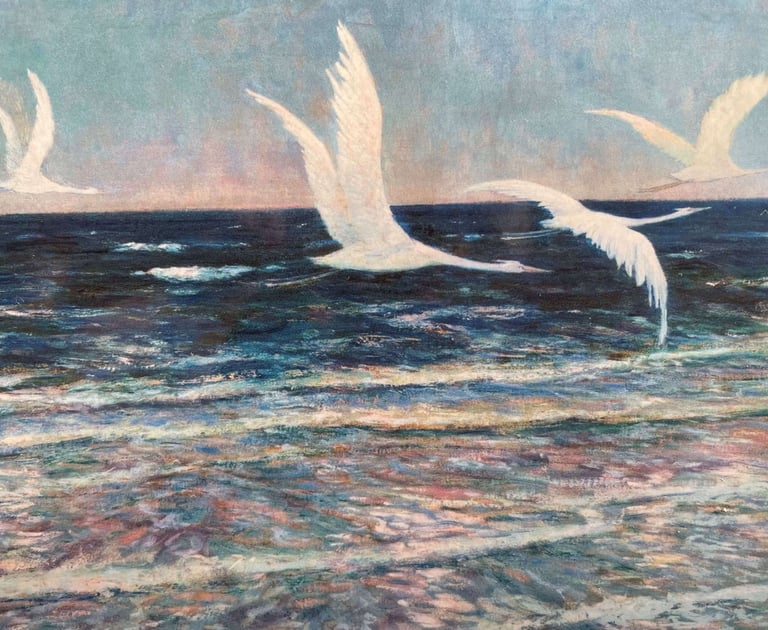 Weiße Kraniche von Walter Leistikow: Weiße Kraniche fliegen über ruhigem Wasser beim Sonnenuntergang