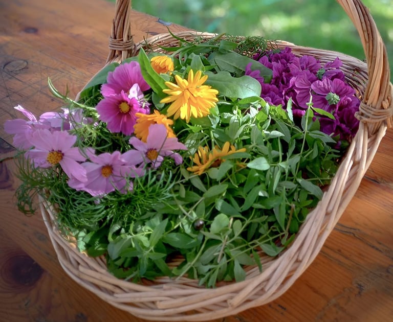 panier de fleur comestibles fraichement cuillies