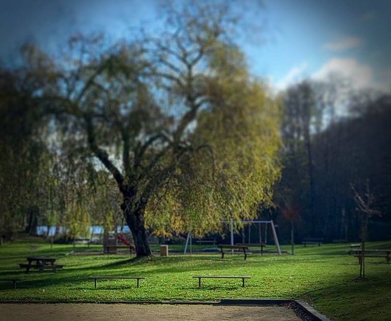 aire de jeu arboré avec balancoire, terrain de pétanque et table de camping