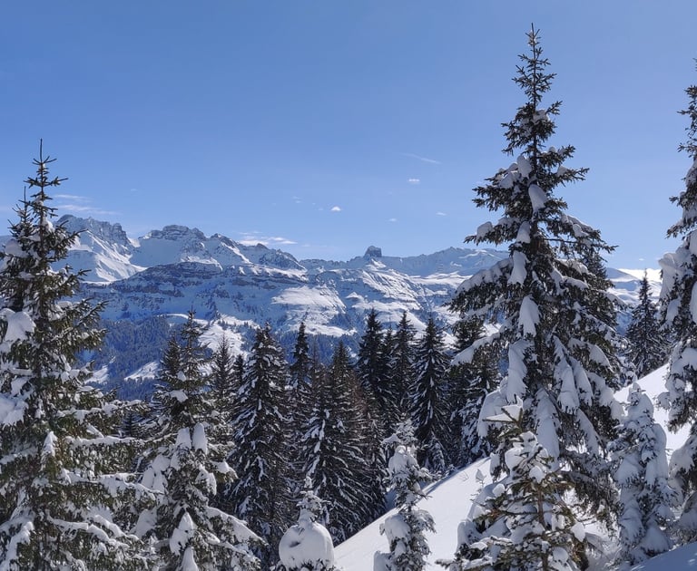 Emplacement idéal, été hiver