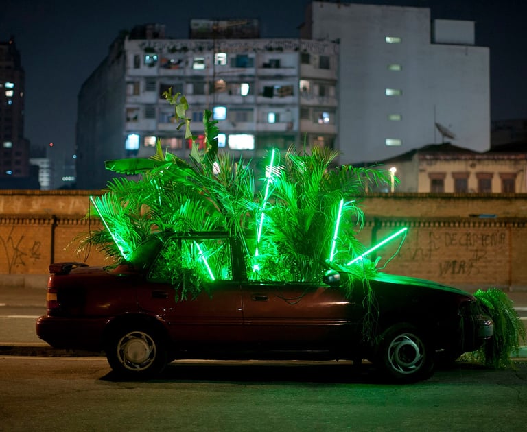 intervenções da série Carro Verde