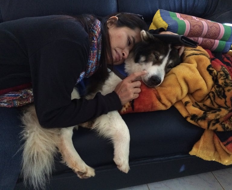 Sumo, now an old, frail dog, lovingly cared for by Parichad Khongon