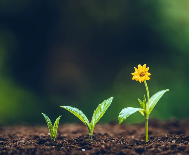 développement ventes et marketing en hôtellerie
