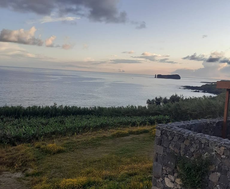 viewpoint with green land close to the sea and an islet in the distance