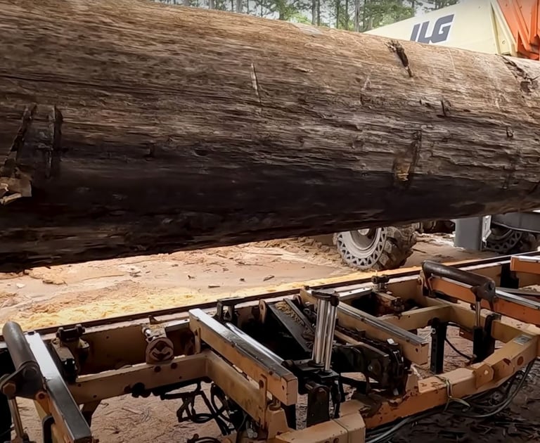 Massive sinker cypress log ready to be turned into outstanding lumber.