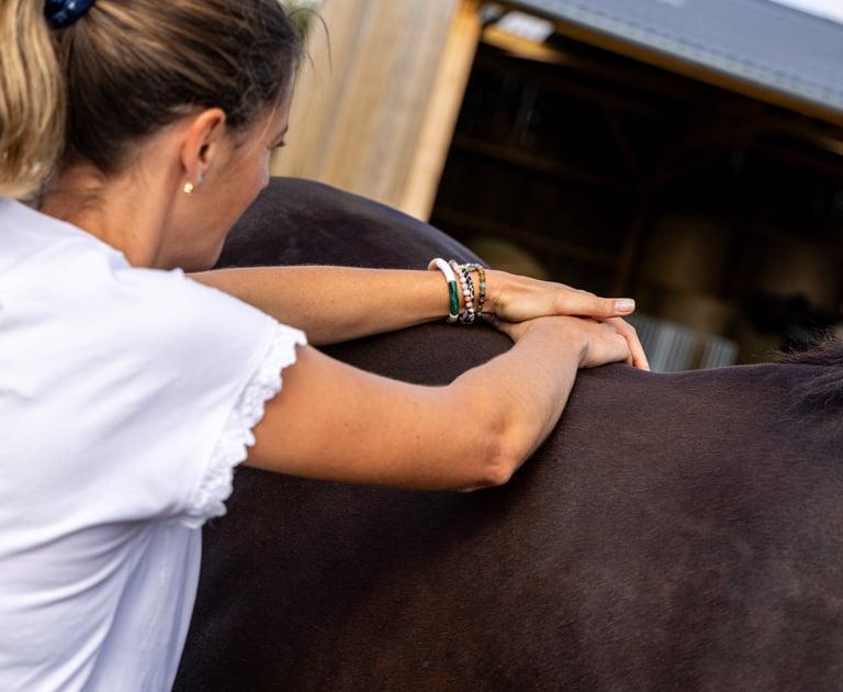 Ma passion, leur apporter bien-être émotionnel et confort physique