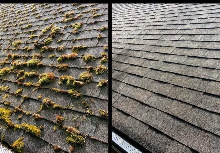ROOF MOSS REMOVAL MEDFORD OREGON